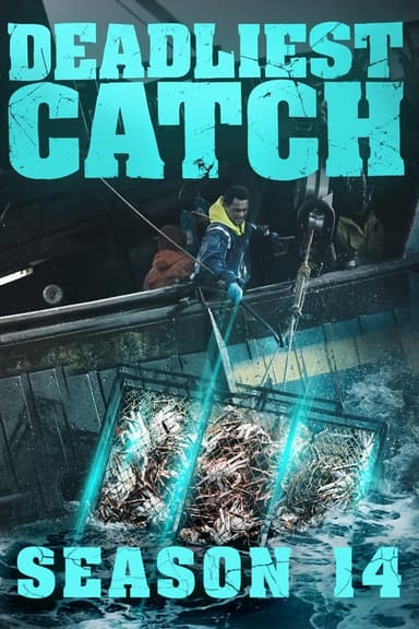Temporada 14