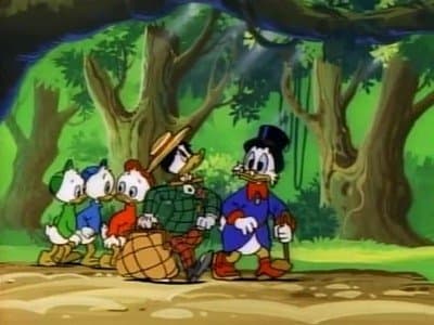 Mucho ruido respecto a mcpato