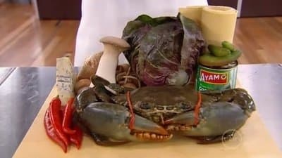 Episodio 24