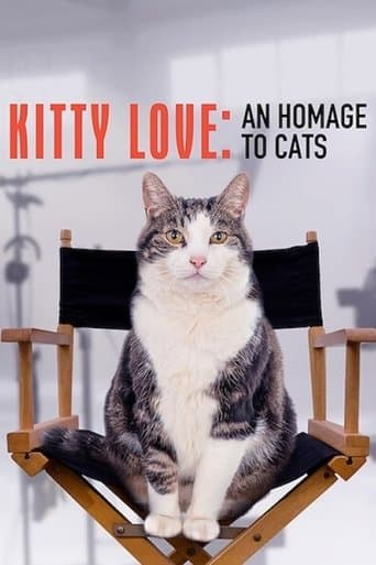 Por qué adoramos a los gatos