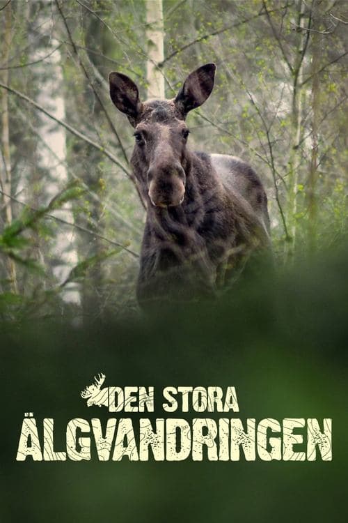 Serie Den stora älgvandringen completa ver online castellano