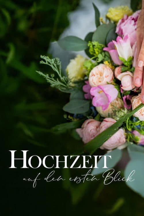 Serie Hochzeit auf den ersten Blick completa ver online castellano