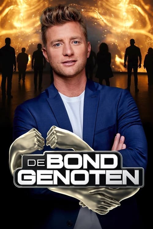 Serie De Bondgenoten completa ver online castellano